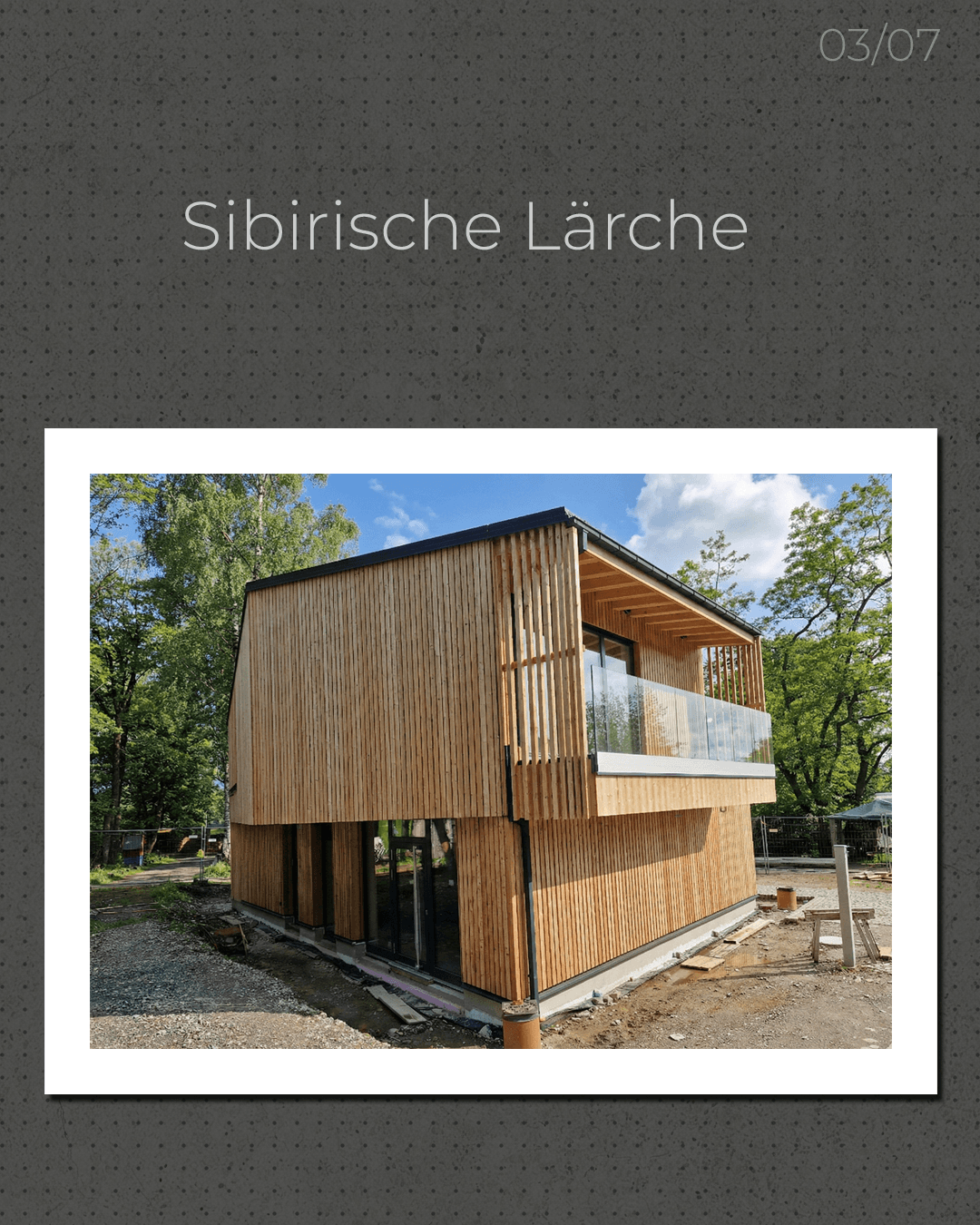 Tiergarten Falkenstein 3